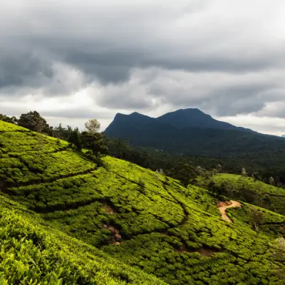 Nuwara Eliya